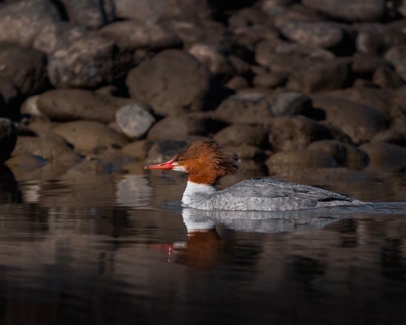 guided duck hunts washington state