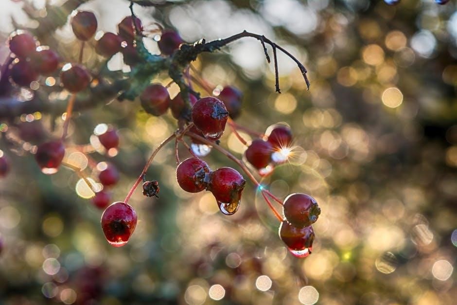 peter cundall planting guide tasmania