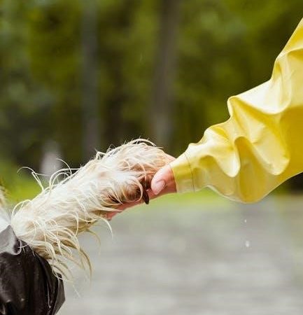 honda odyssey 2018 owners manual