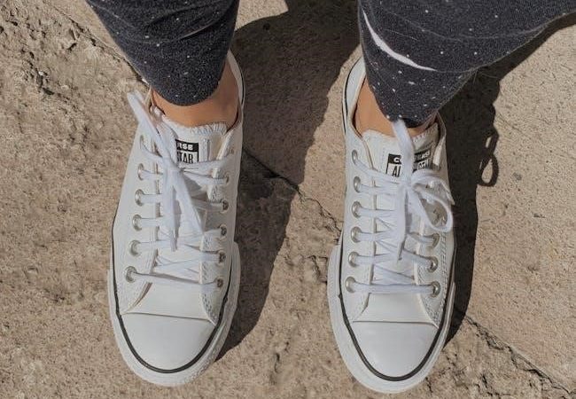 que decir en el cambio de zapatillas pdf